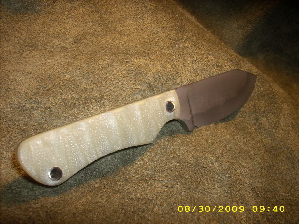 DSCI0855.jpg