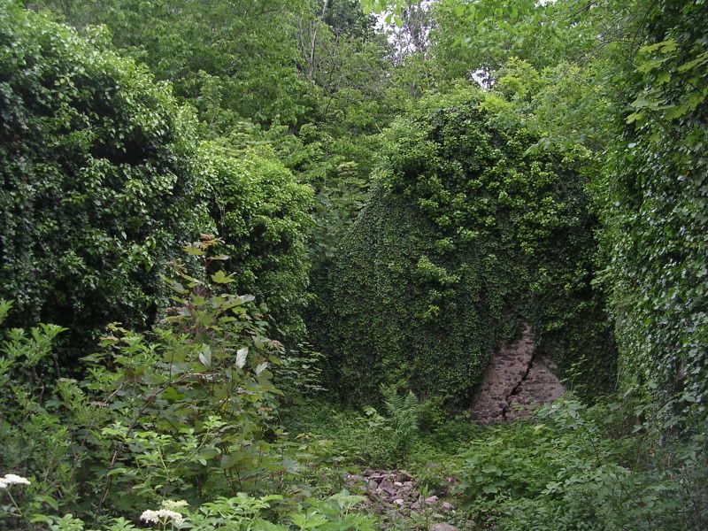 DSCN2152.jpg