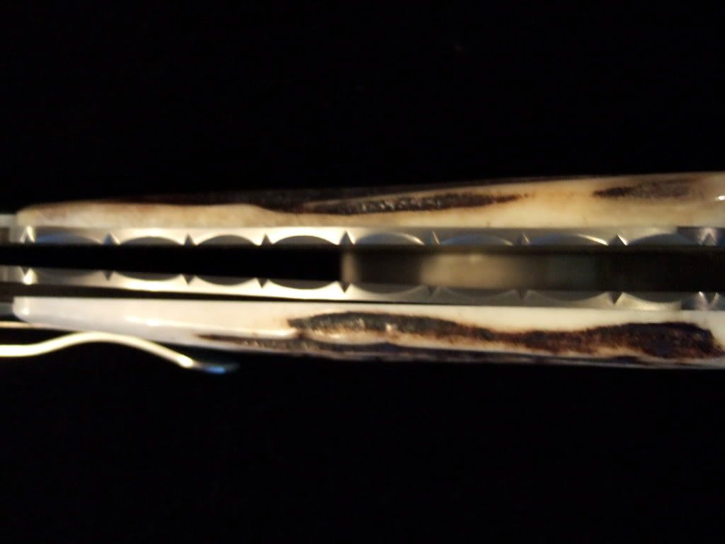 DSCF7415.jpg