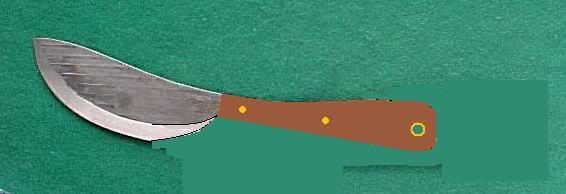oh2.jpg