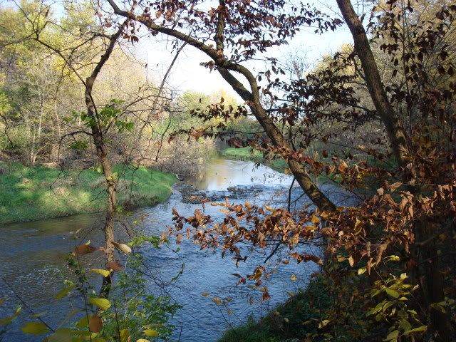 DSC00537.jpg