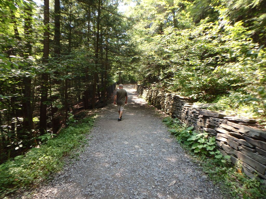 P8170251_1.jpg