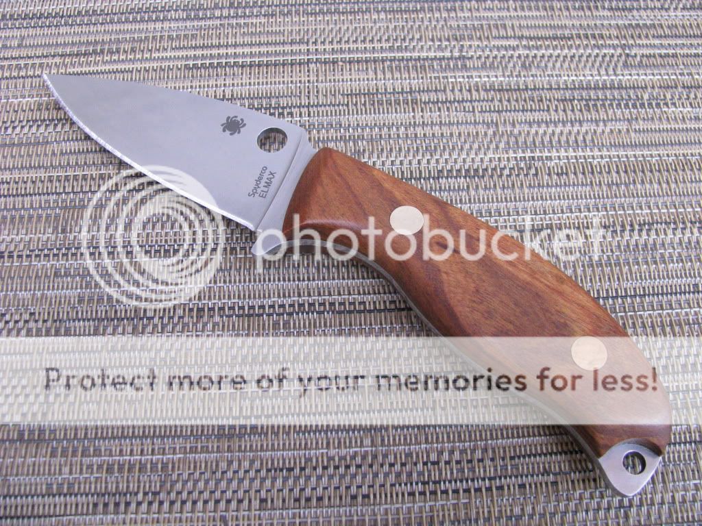 ElmaxMule5.jpg