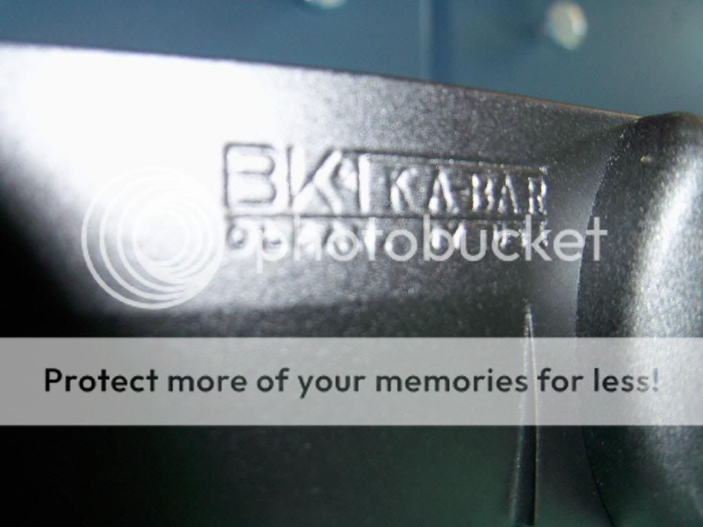 100_4097.jpg