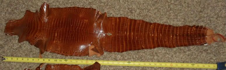 IMG_20120409_231040.jpg