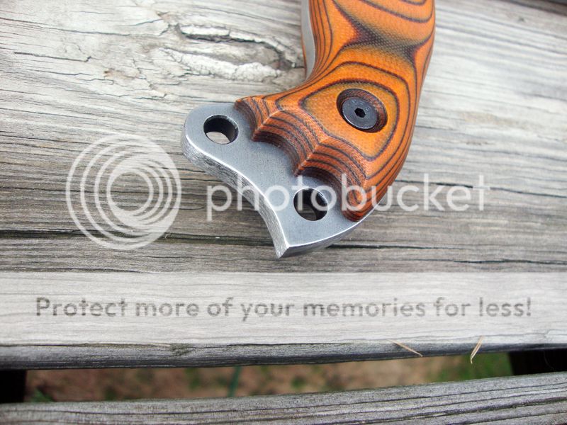 DSC08516_zps76b2f78d.jpg
