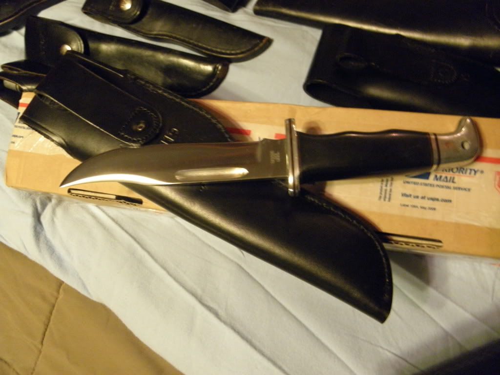 17933linertheelusiveBuck003.jpg