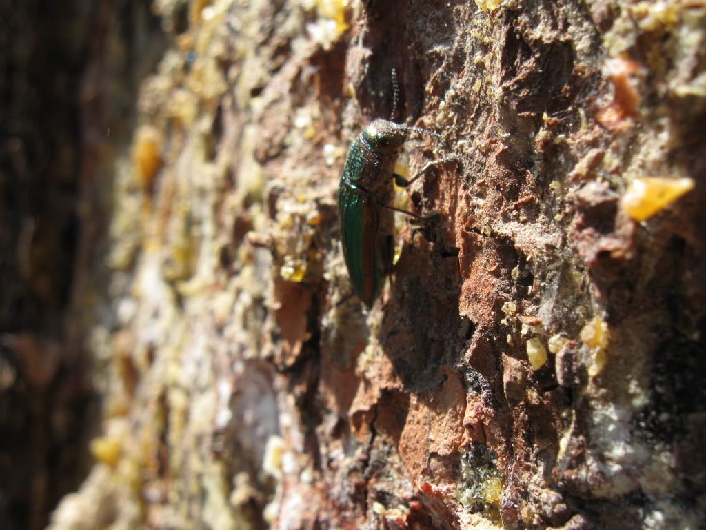 IMG_1870.jpg