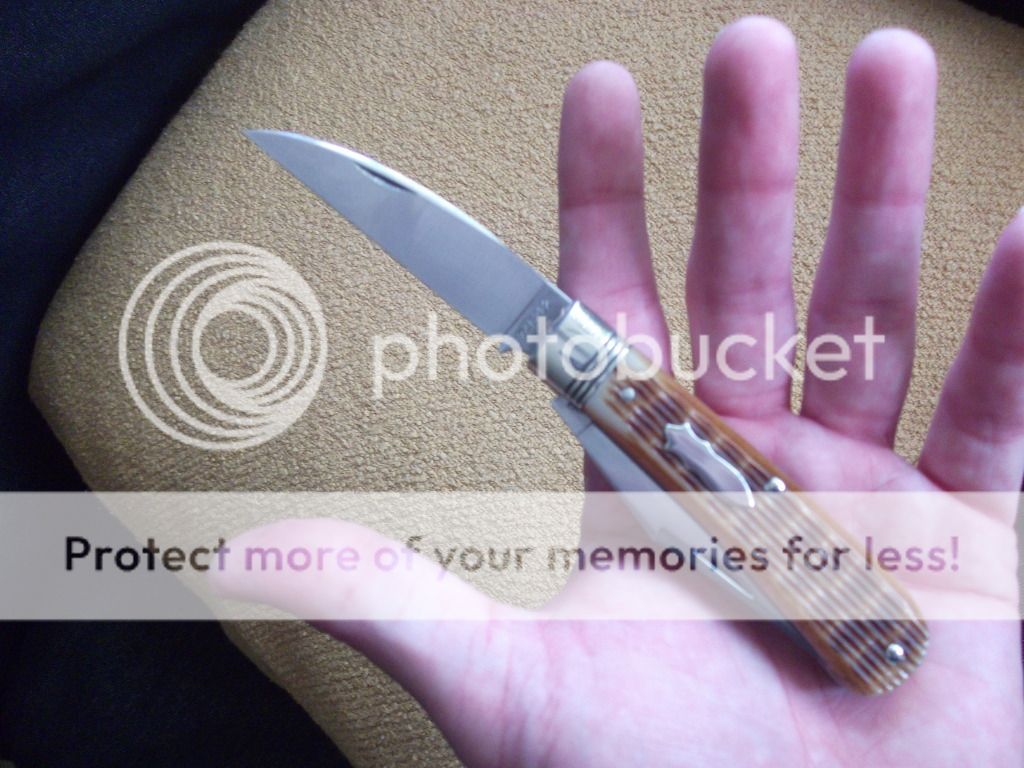 DSCF8289.jpg
