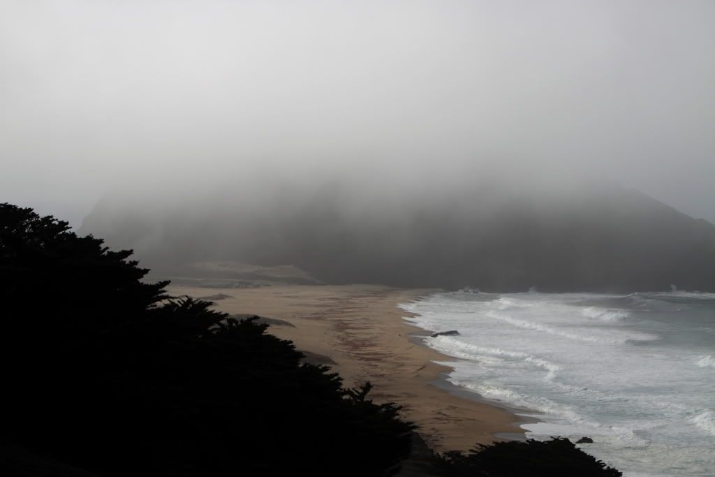 MFBigSur012.jpg