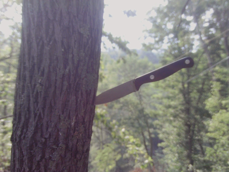 IMAG0072.JPG