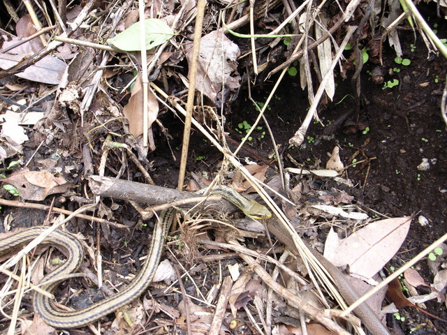 2011.05.15.R0023917.JPG