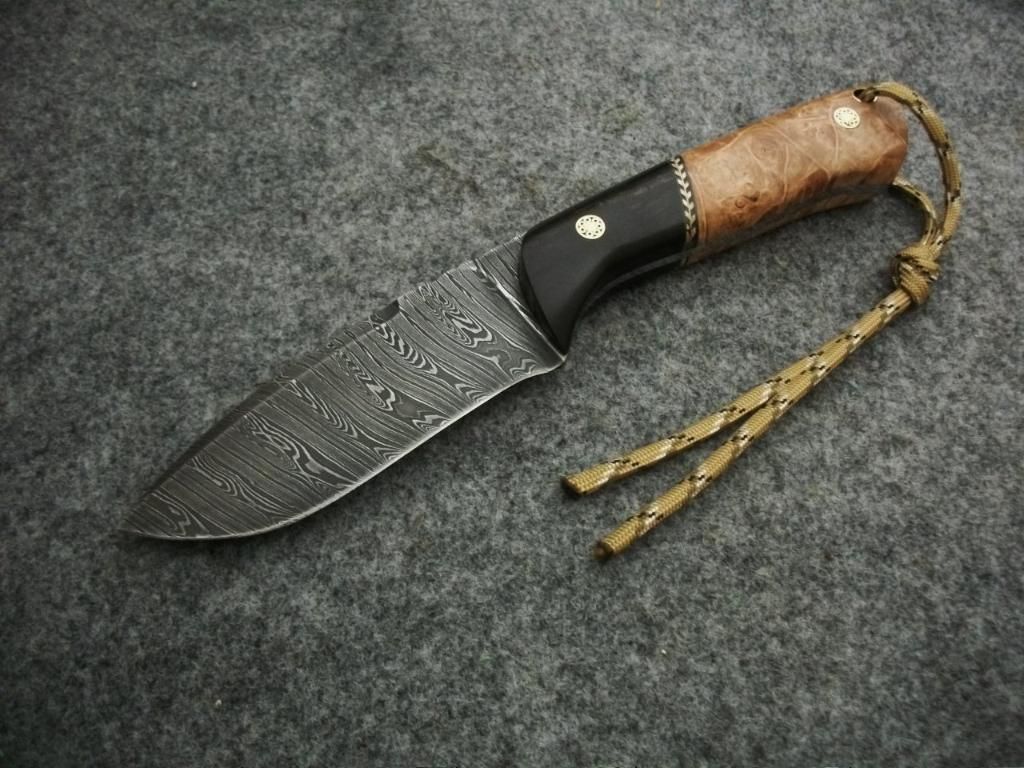 GFLEET011.jpg