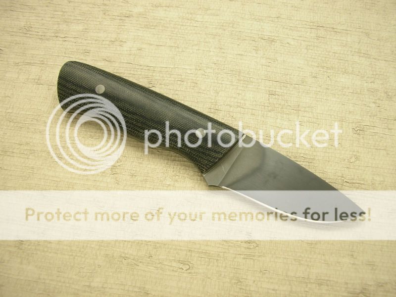 IMGP2150_zps3d2fd819.jpg