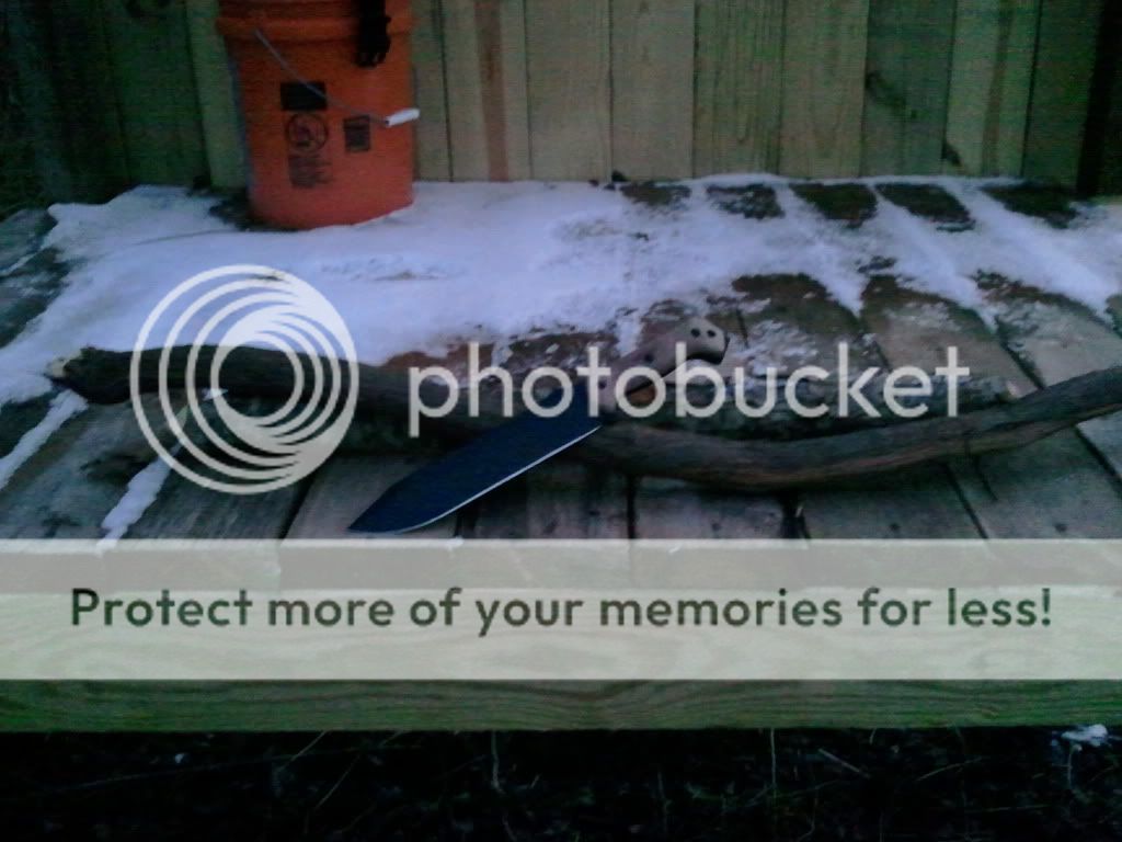 2012-03-10183043.jpg