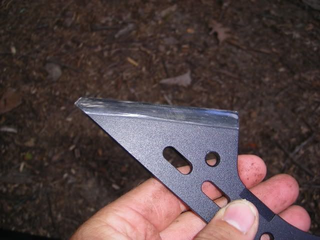ecohawk008.jpg