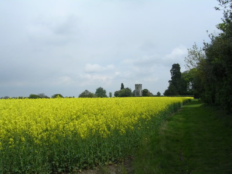 DSCN0818.jpg