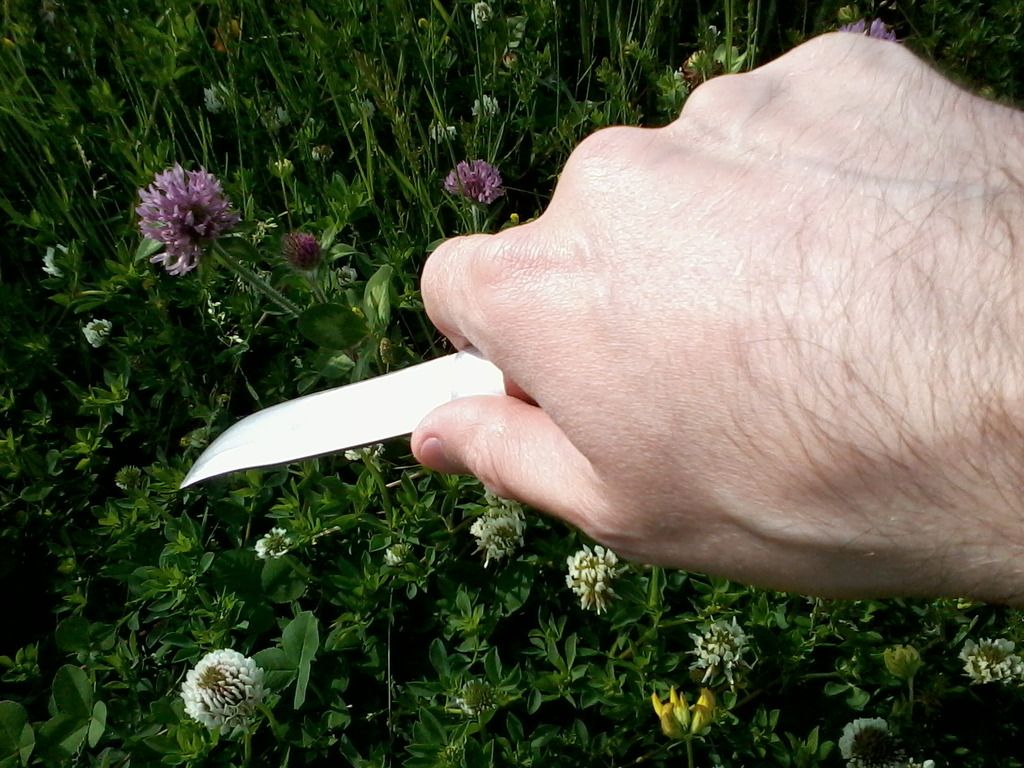 Dane%205_zpsblbwmszn.jpg