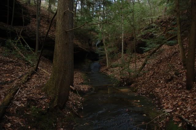 DSC_0181.jpg