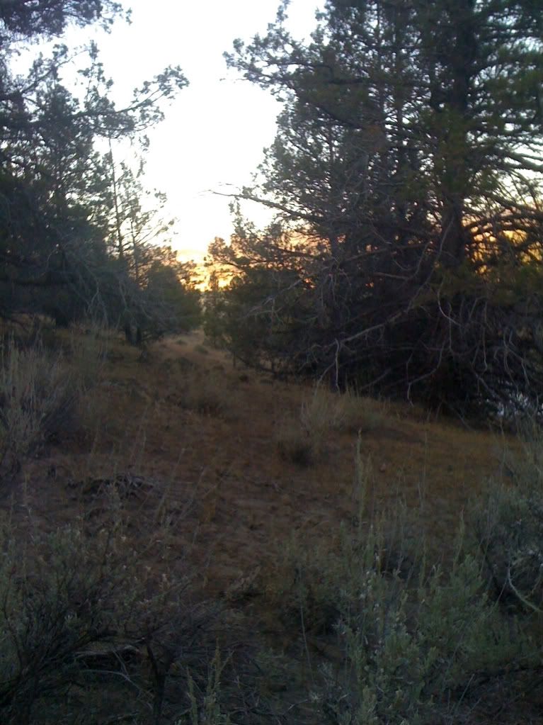 Picture179.jpg