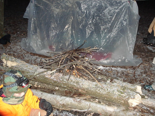 12011726654_bd2b07c679.jpg