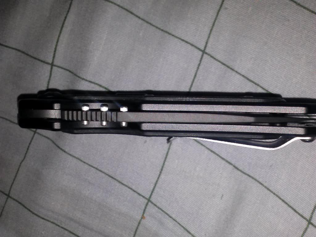 CAM00323_zps714d6c9a.jpg