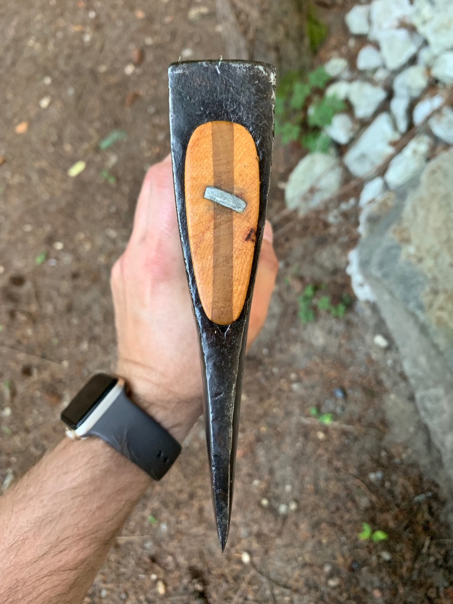 grizz_20190815_5292.jpg