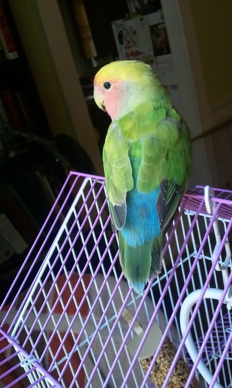 2011-06-11143255.jpg