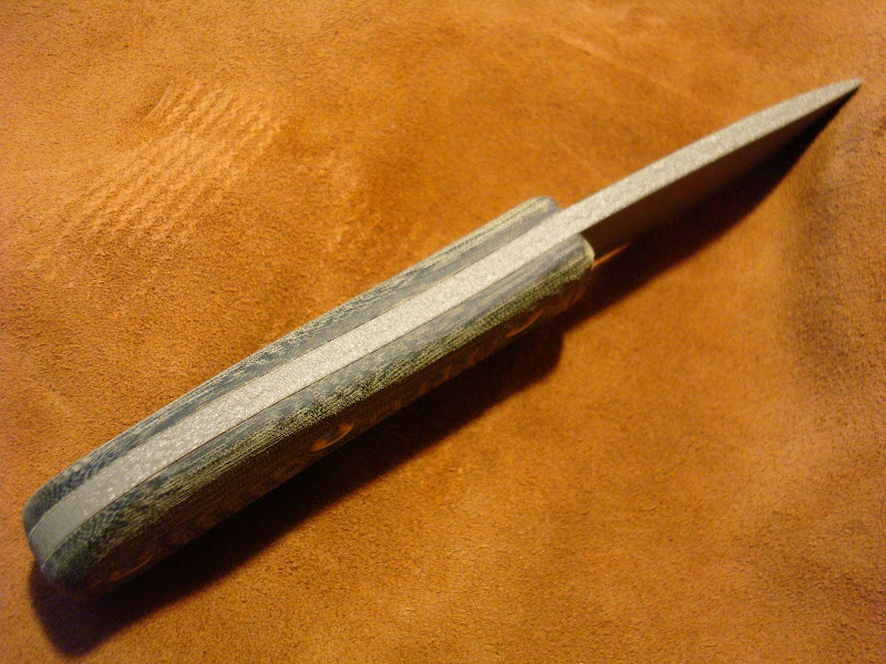 DSC02723.JPG.jpg