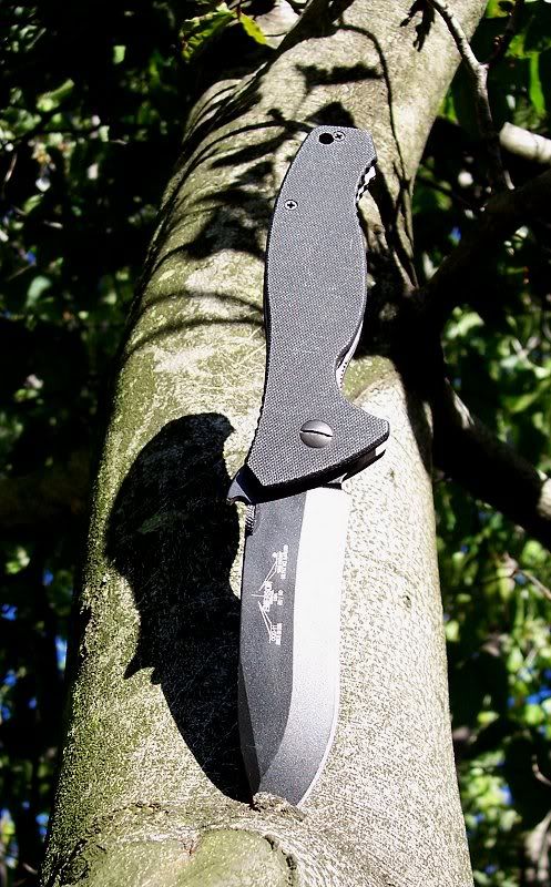 CQC11tree.jpg