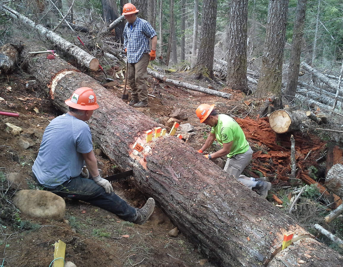 Sawing%203.jpg