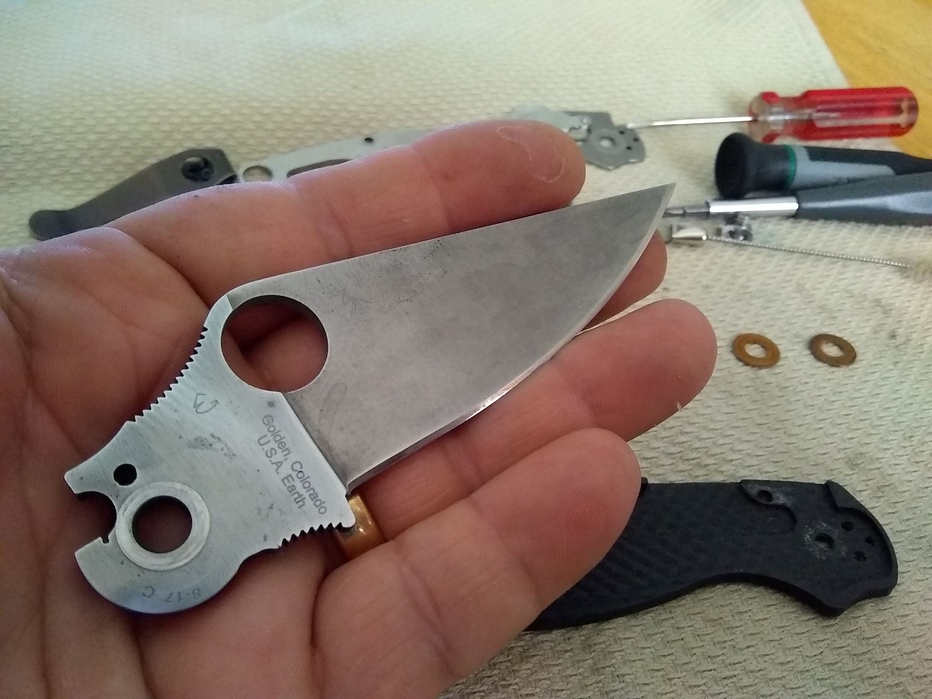 8IBy1sJ.jpg