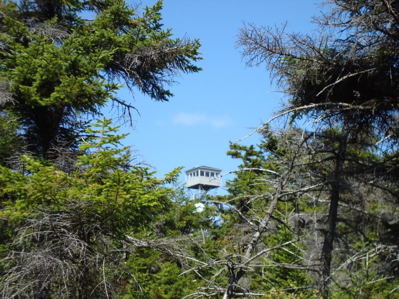 misc023-1.jpg