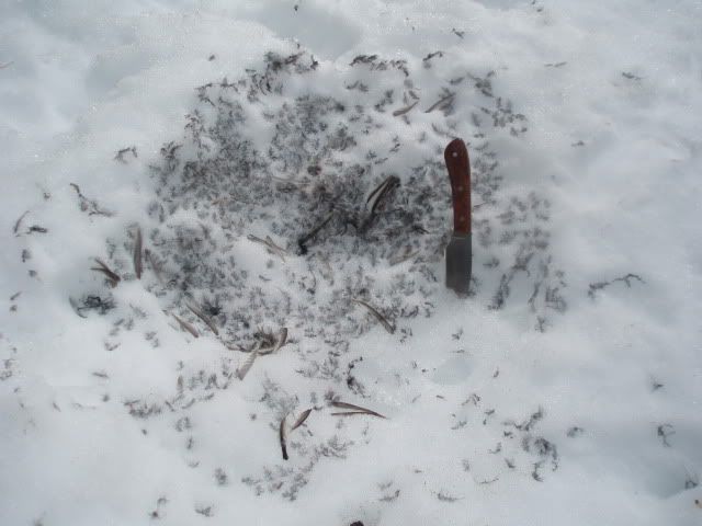 Easter2012042.jpg