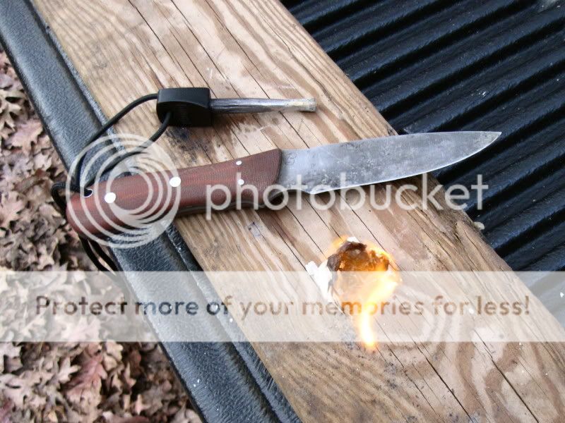 49b4a6ef.jpg