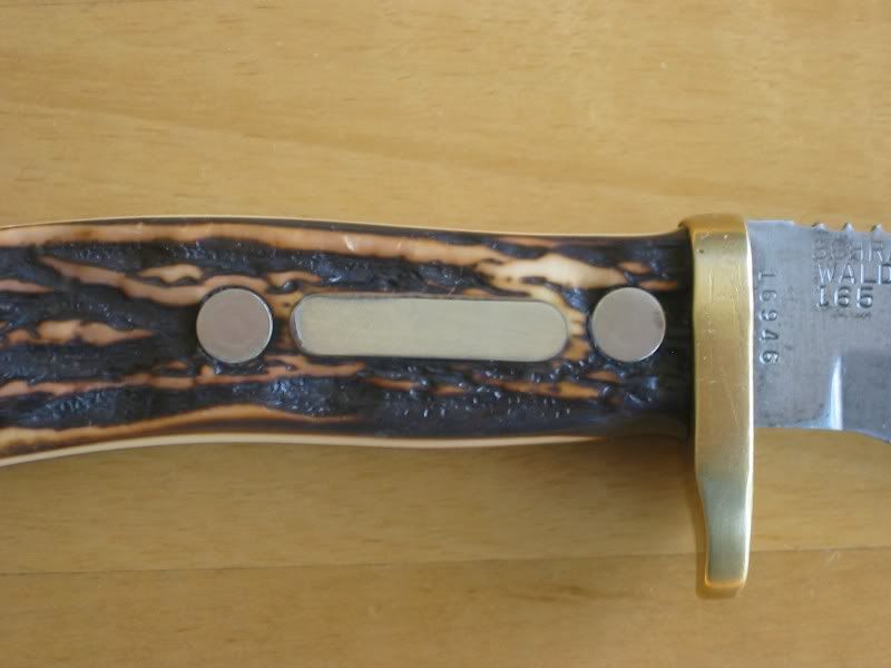 plateclose-up.jpg