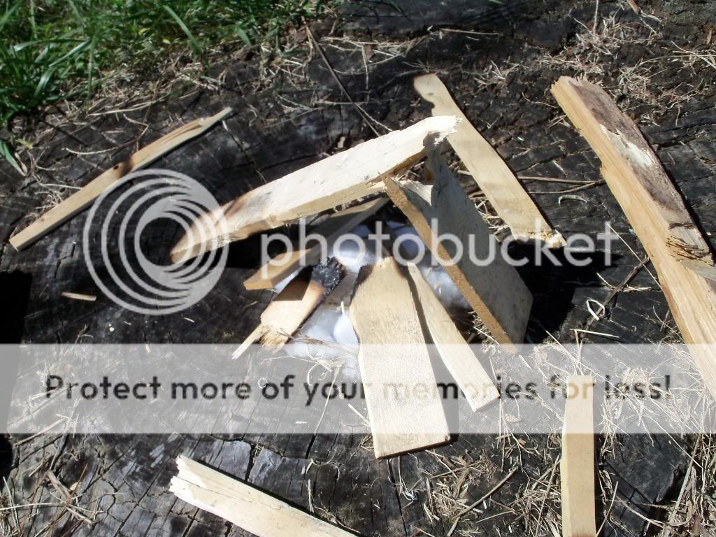 100_4104.jpg