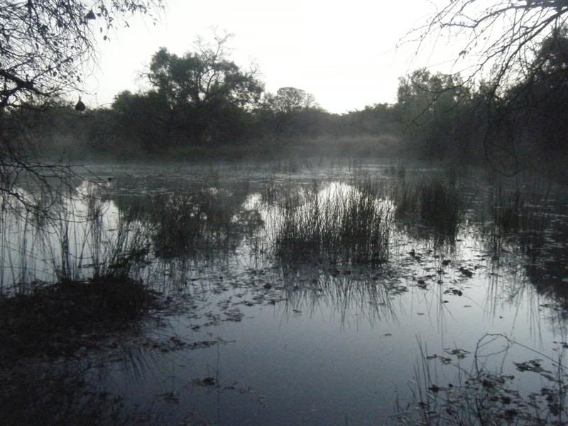 DSCF2402Medium.jpg