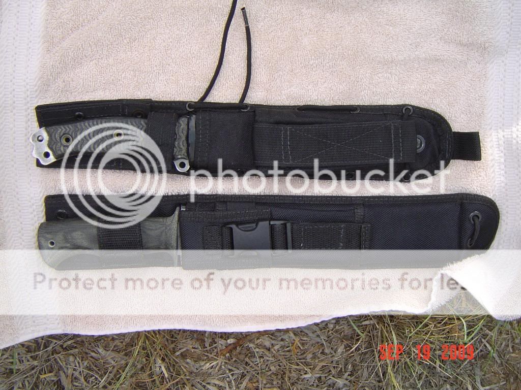 Picture013.jpg