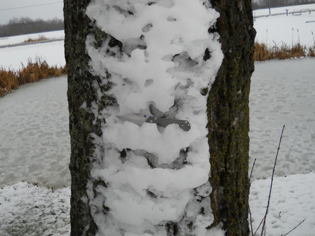 Snow002_zpsf555ad21.jpg