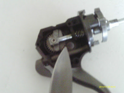IMAG0704.JPG