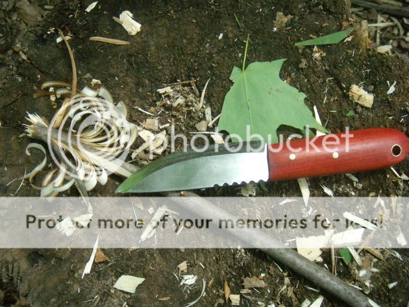 DSCN6605.jpg