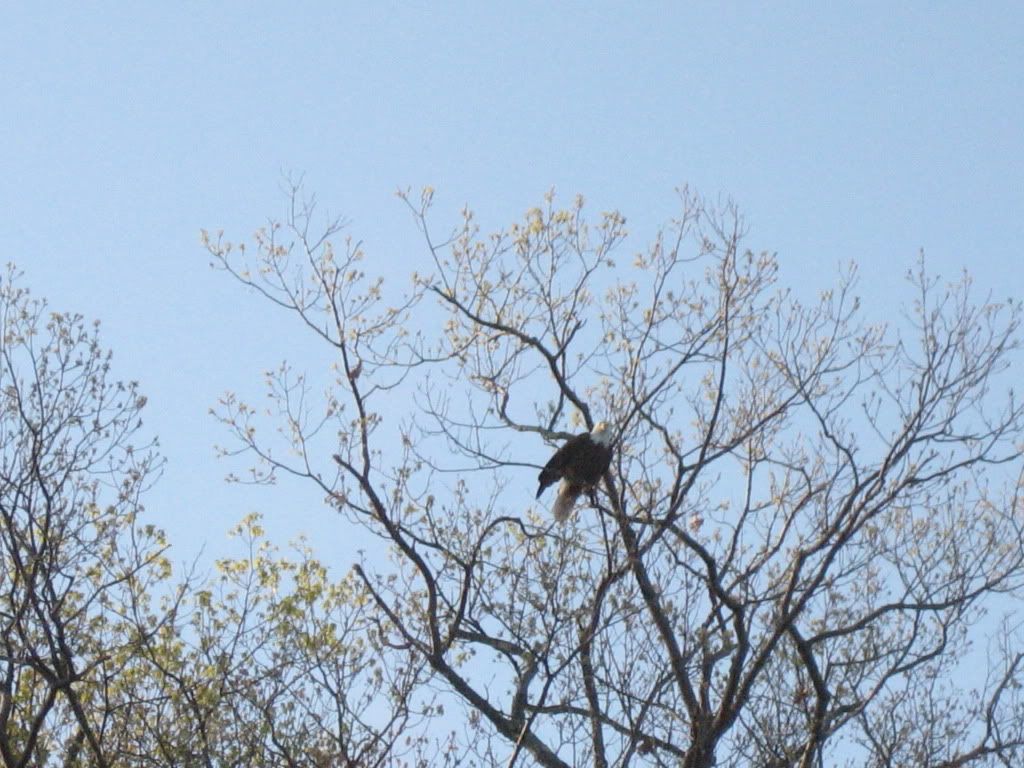 IMG_8184.jpg