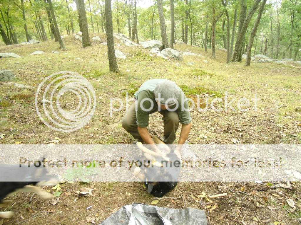 PICT0009-43.jpg