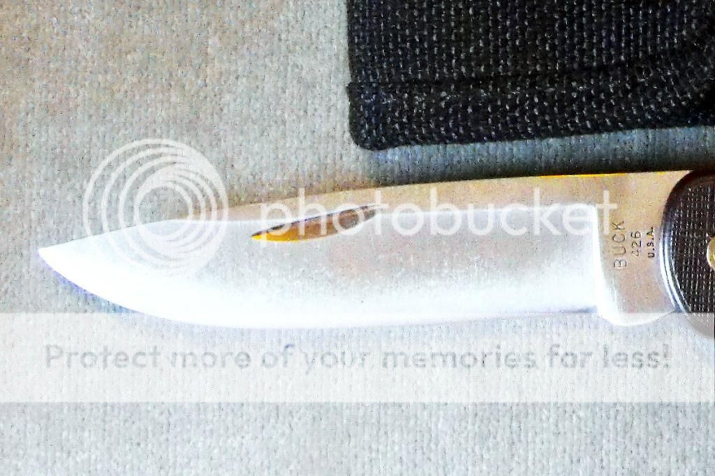 BuckliteIIIbladeandtang_zps198f7707.jpg