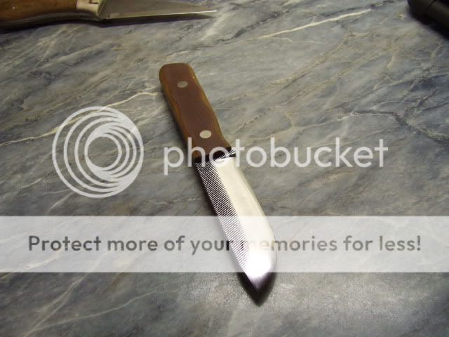 2009_11190042.jpg