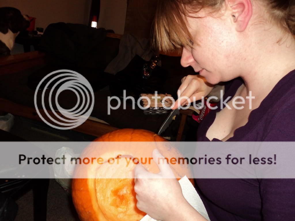 DSC00854.jpg