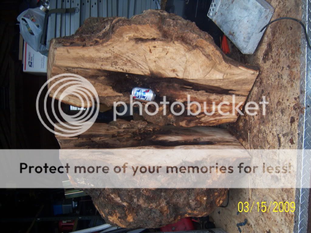 bussestuff040.jpg