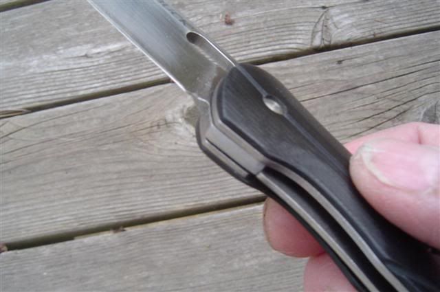 BuckVantagePro1.jpg