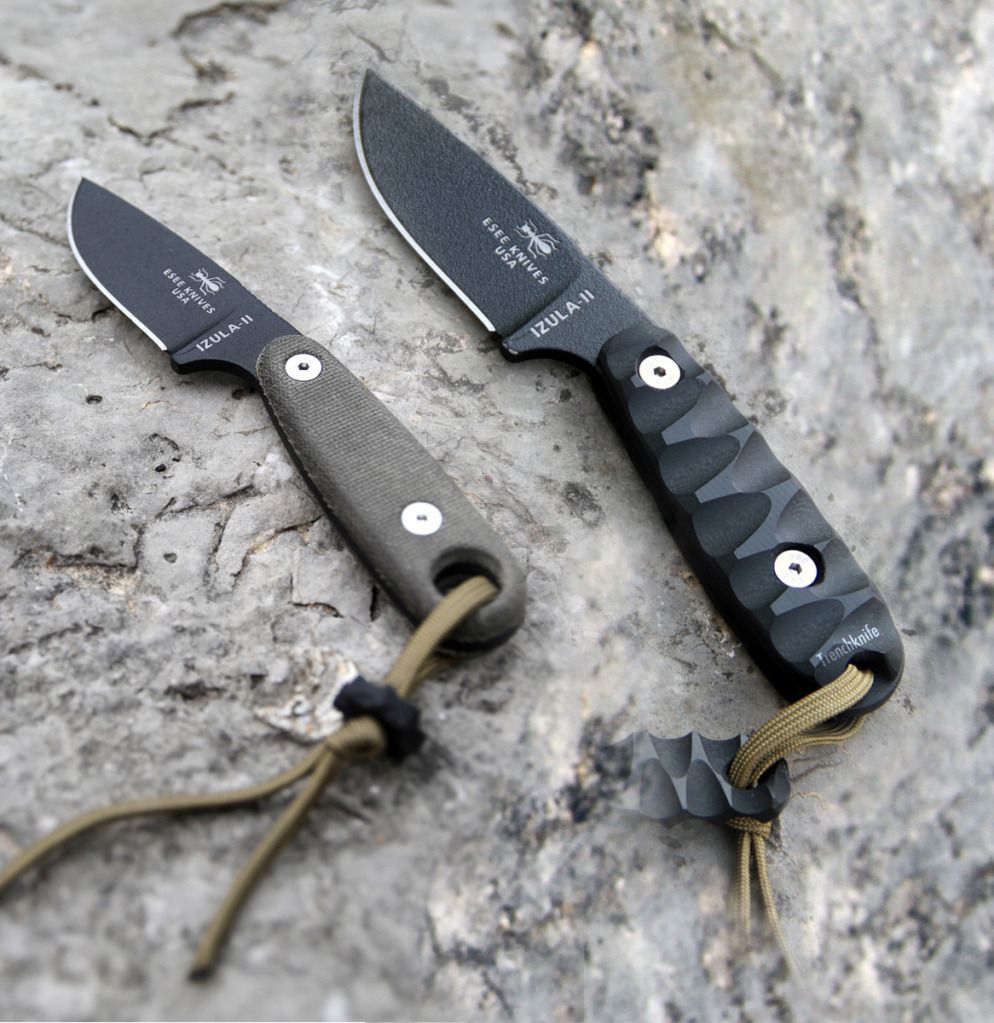 Esee_comp_web.jpg